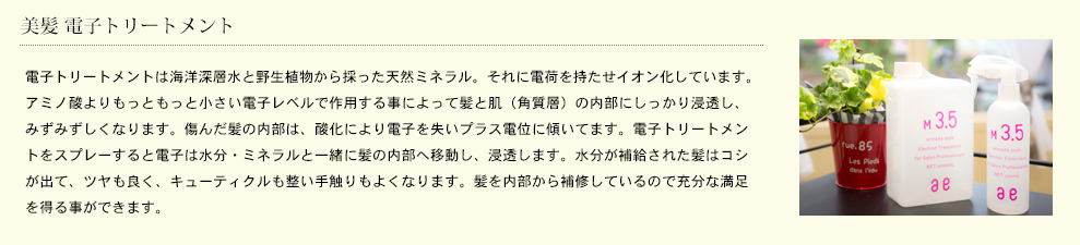 美髪 電子トリートメント
髪の大部分は水分とたんぱく質でできています。従来のトリートメントは、少なくなった水分やたんぱく質の代わりに化学物質を髪に埋め込み、髪の表面をシリコンなどでコーティング。一時的にツヤが戻りますが、コーティング剤がはがれてしまうと、また傷んだ髪に戻ってしまいます。 電子トリートメントは電子と水を補うことで髪の毛を太くし、たんぱく質を正常に戻します。パーマやカラーと同時に行うと、傷みを防ぐばかりでなく、ウェーブのもちやカラーの退色を防ぐ効果もあります。